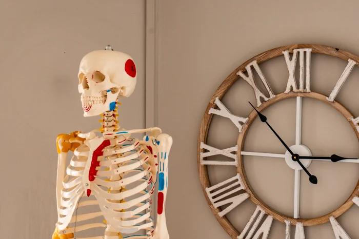 Repères anatomiques dans la salle