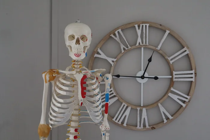 Cabinet avec repères anatomiques