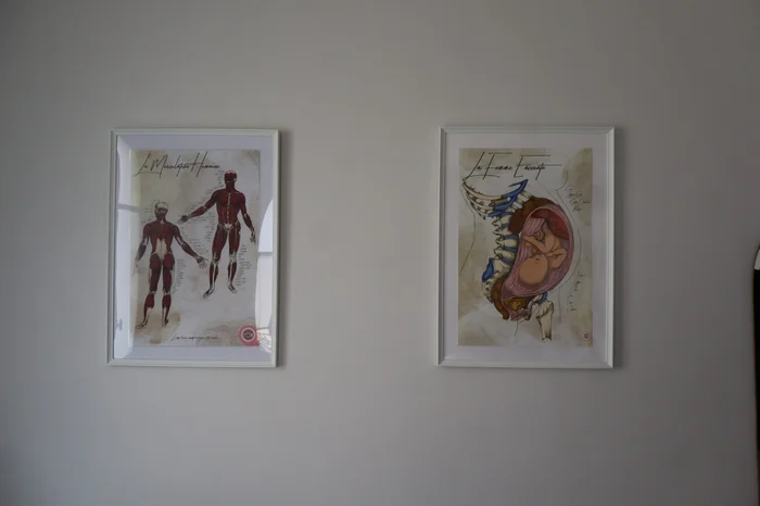 Cadres d'anatomie au cabinet