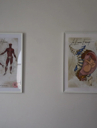 Cadres anatomie humaine sur le mur du cabinet d'ostéopathie