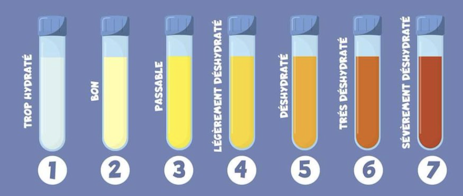 Hydratation et ostéopathie : besoins en eau selon l'âge