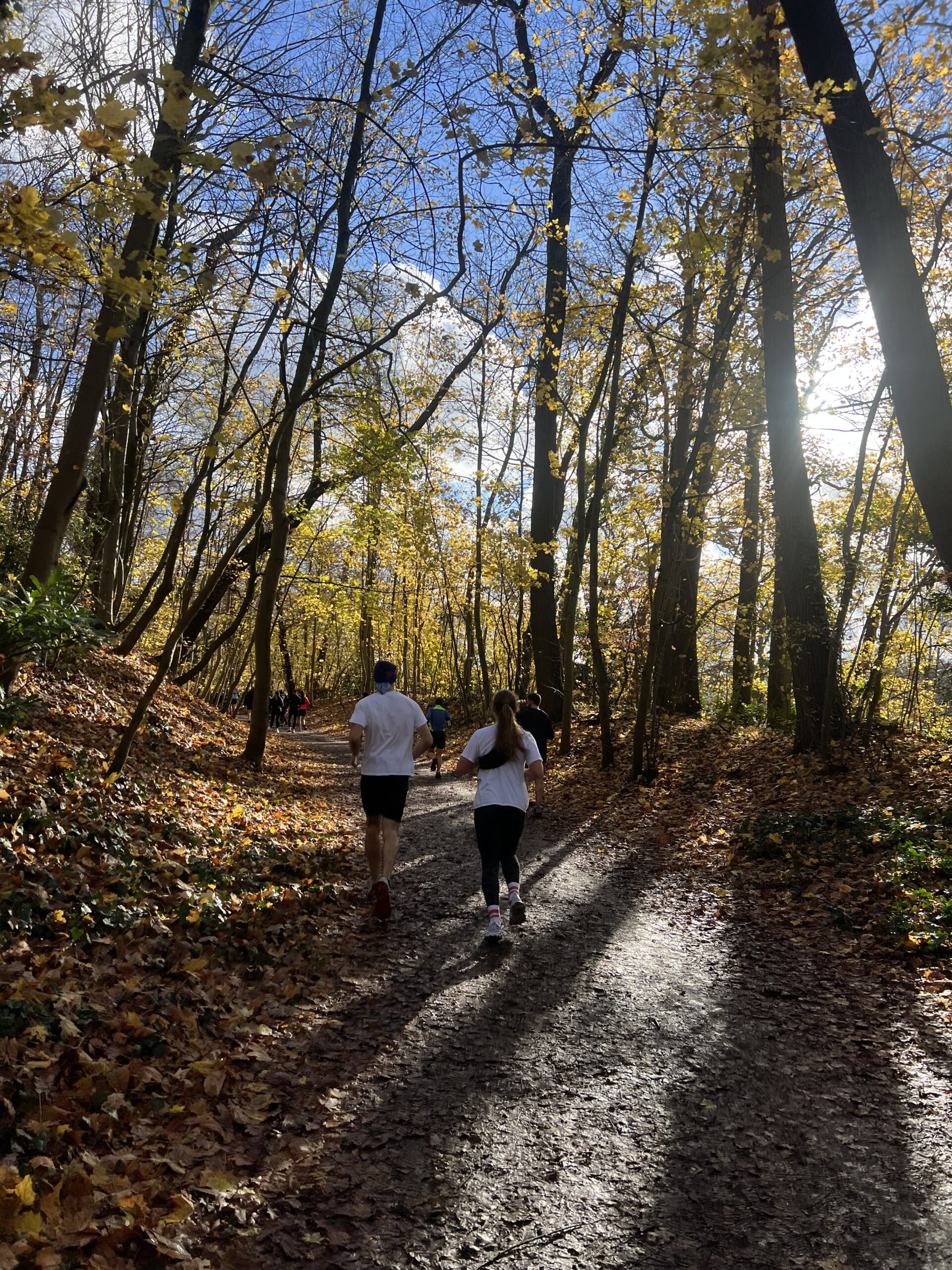 Course du Téléthon au parc de Saint-Cloud