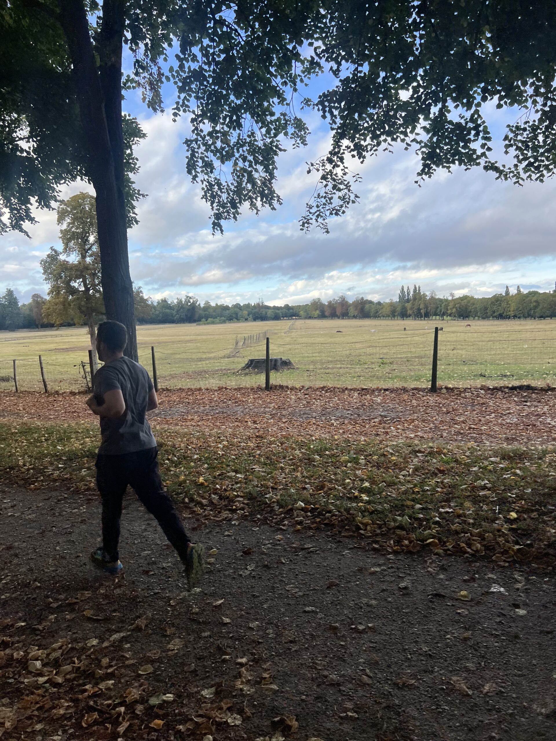 Coureur sur un chemin au parc de Versailles
