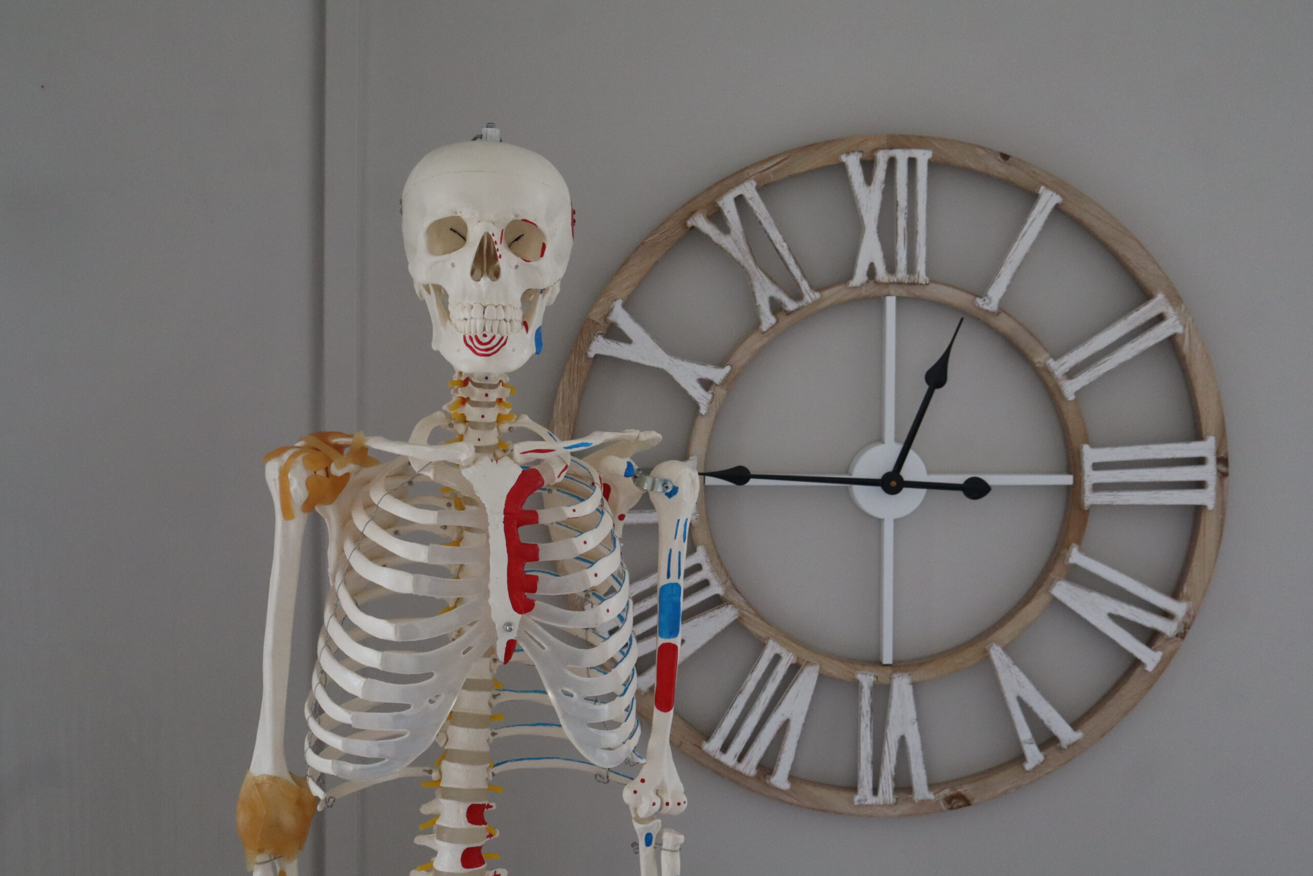 Cabinet avec squelette et horloge