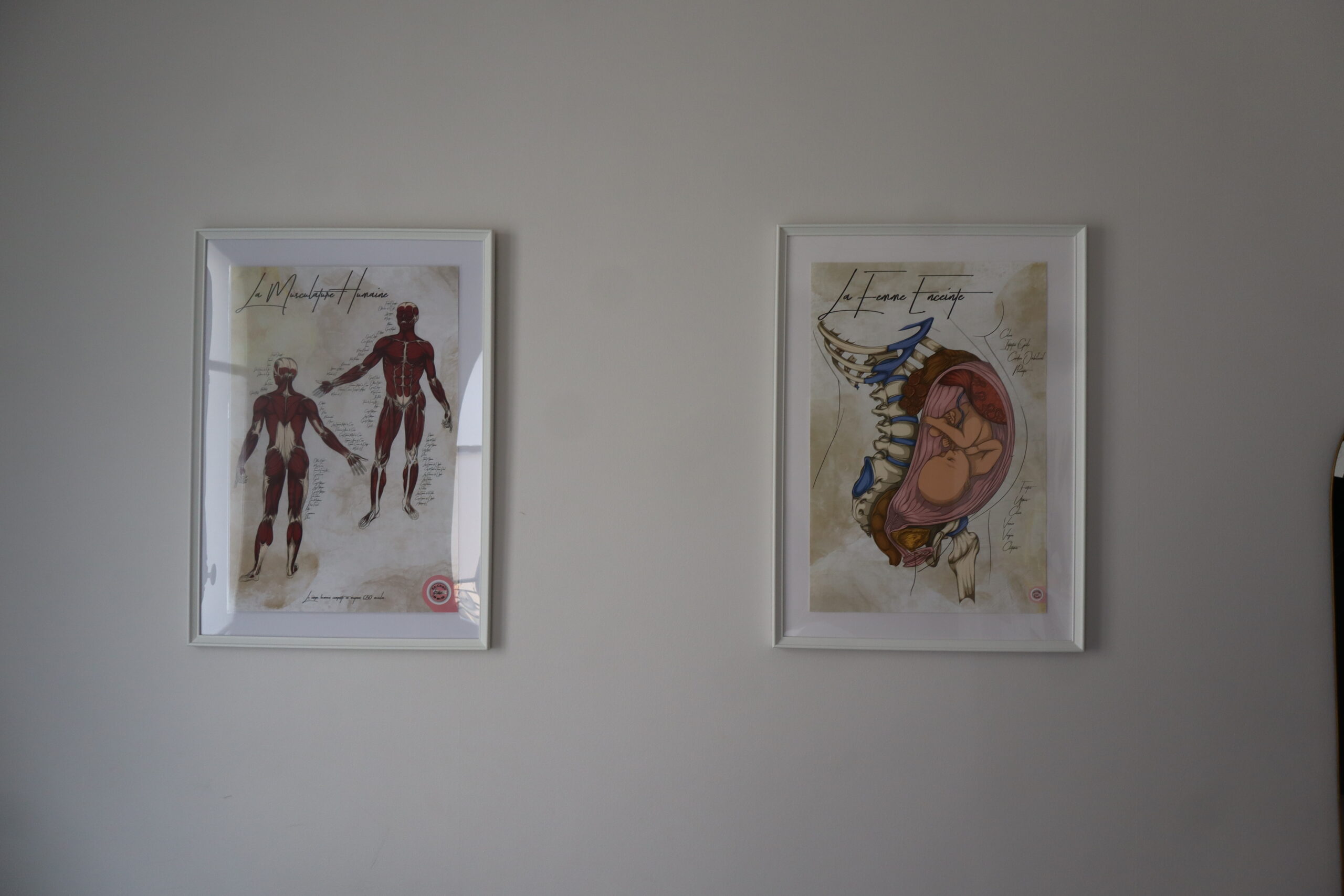 Cabinet avec cadres d'anatomie humaine pour évoquer la prise en charge globale